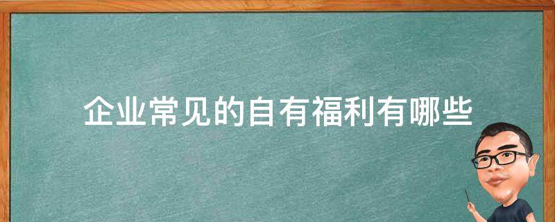 企业常见的自有福利有哪些（企业常见的自有福利有哪些类型）