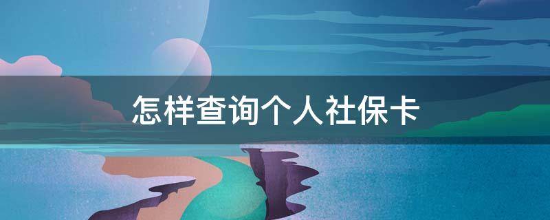 怎样查询个人社保卡（怎样查询个人社保卡在哪里查询）