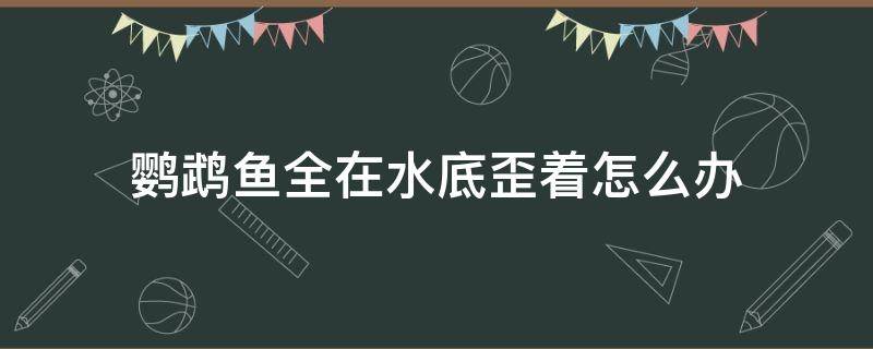 鹦鹉鱼全在水底歪着怎么办（鹦鹉鱼在水底不动怎么回事）