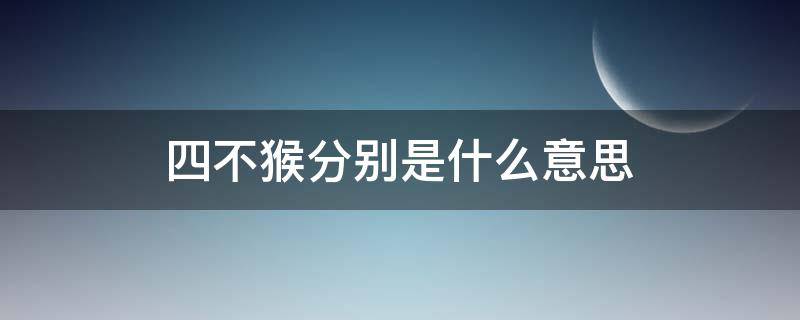 四不猴分别是什么意思（四不猴摆放讲究）