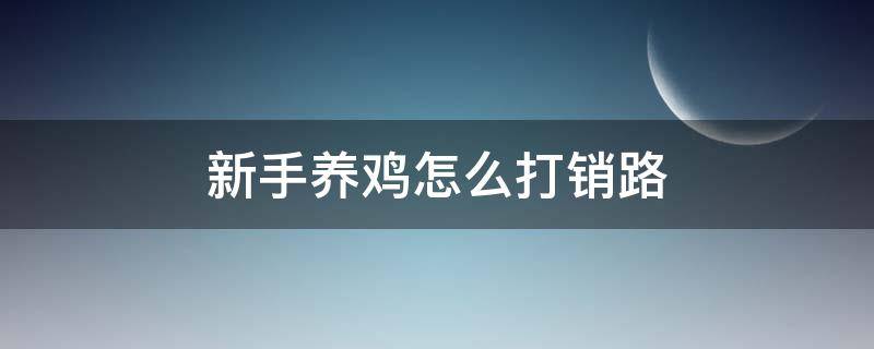 新手养鸡怎么打销路（养鸡的销路怎样才能打开销路）