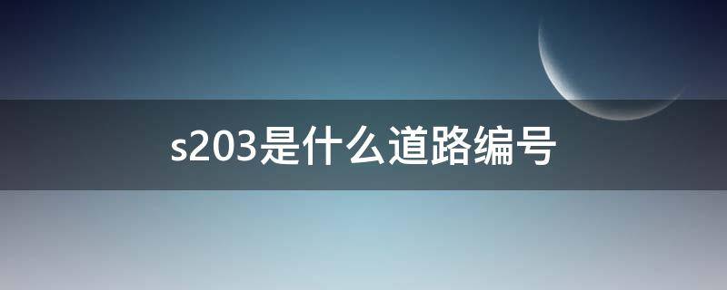 s203是什么道路编号 s203是什么道路编号的车