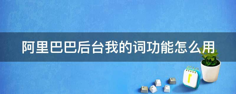 阿里巴巴后台我的词功能怎么用（我的阿里巴巴的功能有什么）