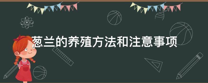 葱兰的养殖方法和注意事项（葱兰的养殖方法和注意事项有哪些）