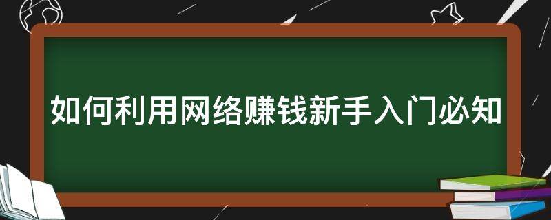 如何利用网络赚钱新手入门必知（怎样利用网络赚钱啊）