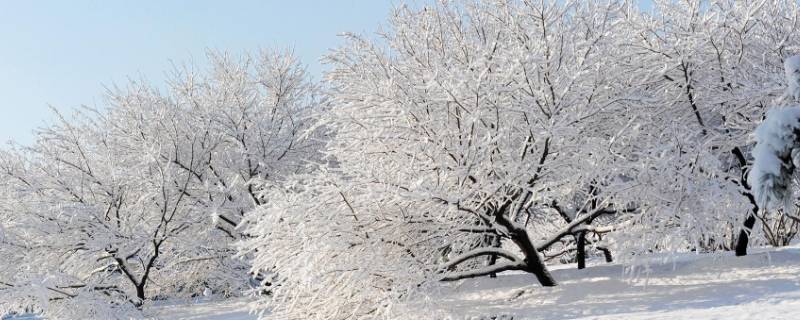 大雪节气是农历哪天（大雪节气是哪天?）