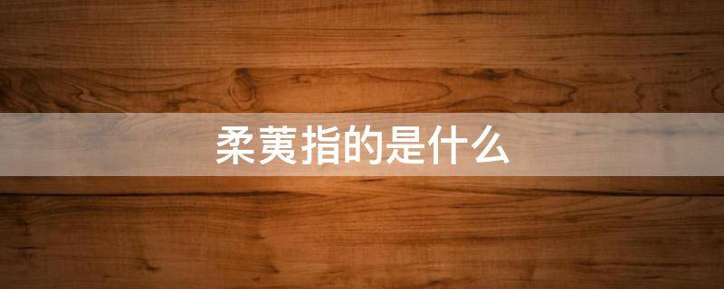 柔荑指的是什么