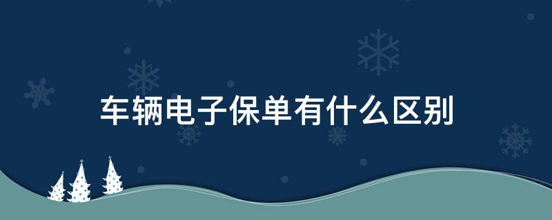 车辆电子保单有什么区别(车辆电子保单有效吗)