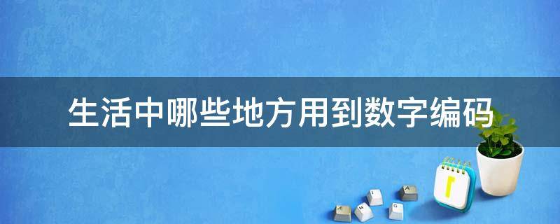 生活中哪些地方用到数字编码（生活中哪些地方用到数字编码技术）