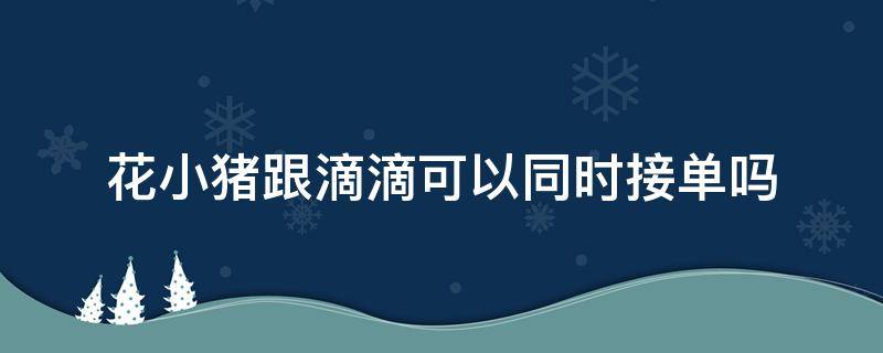 花小猪跟滴滴可以同时接单吗 花小猪和滴滴能一起接单吗