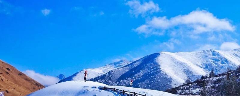 鹧鸪山海拔多少米（鹧鸪山海拔多少米高隧道）