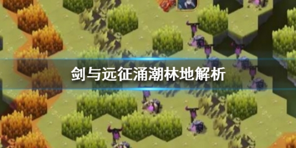 剑与远征涌潮林地解析（剑与远征涌潮林地左边怎么过）