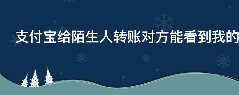 支付宝给陌生人转账对方能看到我的名字吗