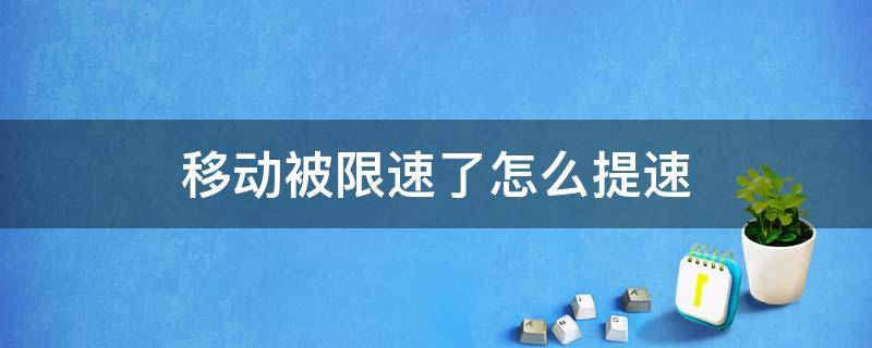 移动被限速了怎么提速 移动手机限速了怎么提速