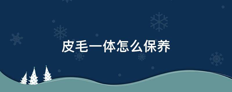 皮毛一体怎么保养（皮毛一体怎么保养护理）