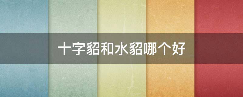 十字貂和水貂哪个好 十字貂好还是普通貂好