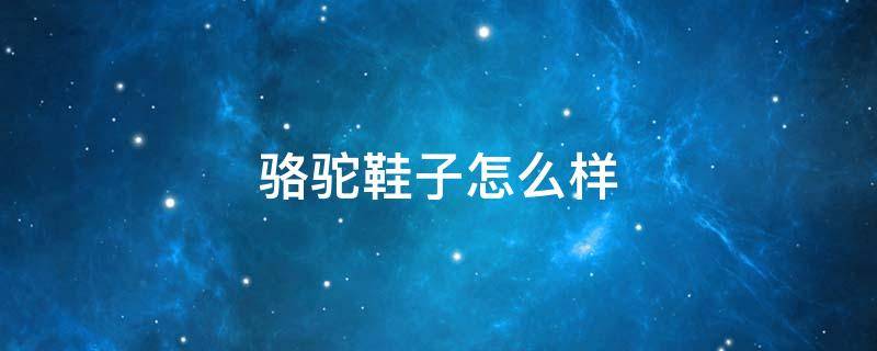 骆驼鞋子怎么样 骆驼鞋子咋样