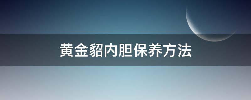 黄金貂内胆保养方法 黄金貂内胆和貂绒内胆