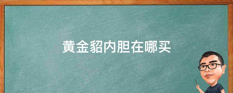黄金貂内胆在哪买（内胆黄金貂和水貂内胆）