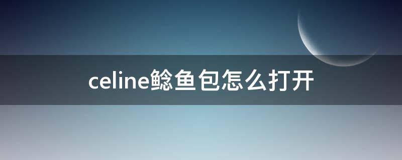 celine鲶鱼包怎么打开 celine鲶鱼包怎么打开视频