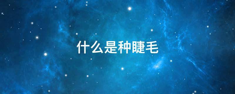 什么是种睫毛 什么是种睫毛大约多少钱?