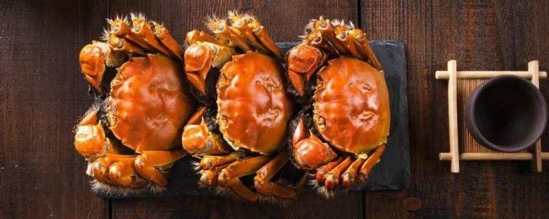 冻蟹为什么不能清蒸（冻蟹为什么不可以清蒸）