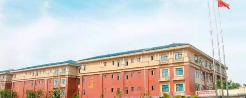 聊城外国高中和文苑哪个好 聊城外国高中和文苑哪个好一点