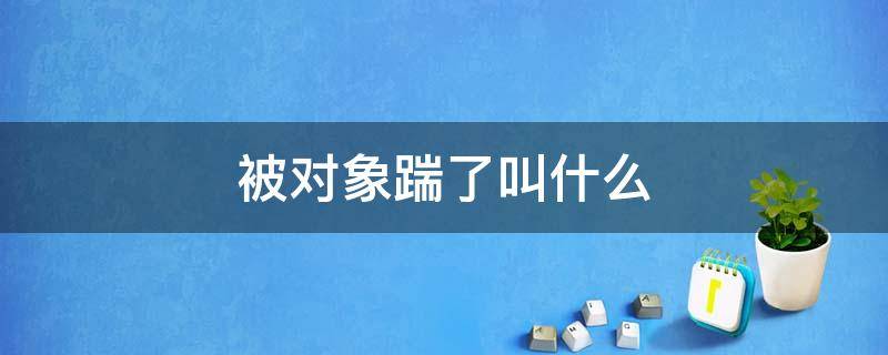 被对象踹了叫什么（被男朋友踹了）