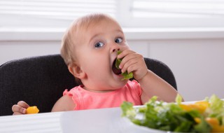 宝宝不爱吃蔬菜怎么办（宝宝不爱吃蔬菜怎么办?）