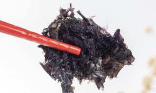 紫菜能放冰箱吗(紫菜能放冰箱吗多久)