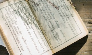 韩味十足的名字（韩味十足的名字有哪些）