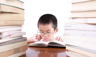 吴可以组什么词 虎可以组什么词
