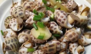 花螺要煮多久才熟冷水下锅 煮花螺是冷水下锅煮多久