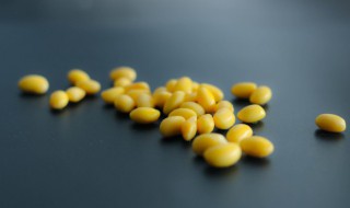 黄豆泡多长时间可以打豆浆 黄豆泡多长时间就可以打豆浆了
