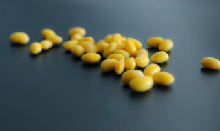 黄豆泡多长时间 黄豆泡多长时间可以煮