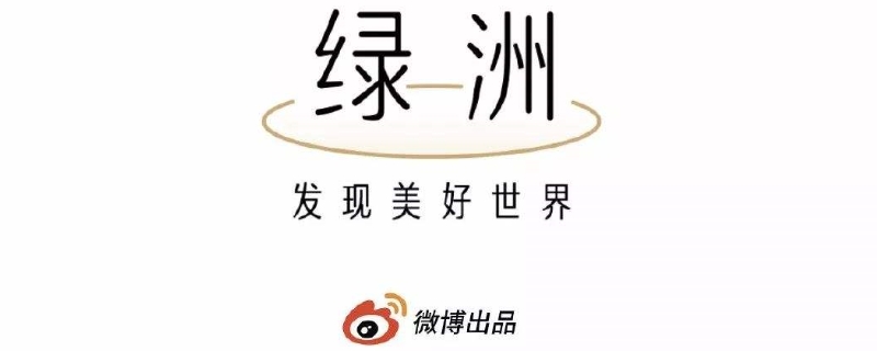 微博绿洲是什么 微博绿洲是什么时候推出的