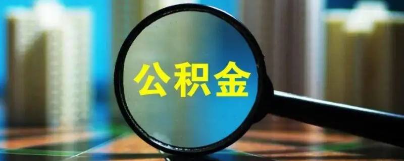 公积金缴费比例（公积金缴费比例可以调整吗）